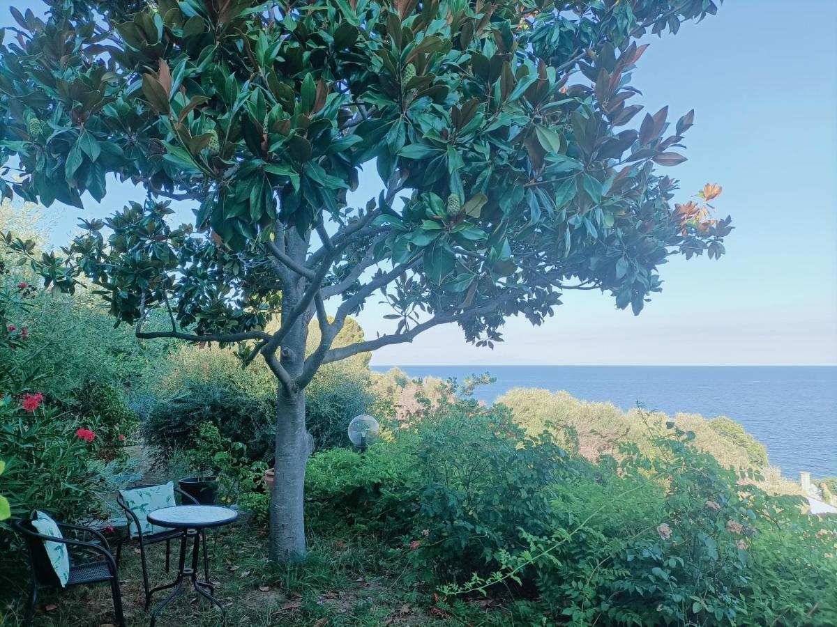 Villa Magnolia Santa-Maria-di-Lota Exteriér fotografie