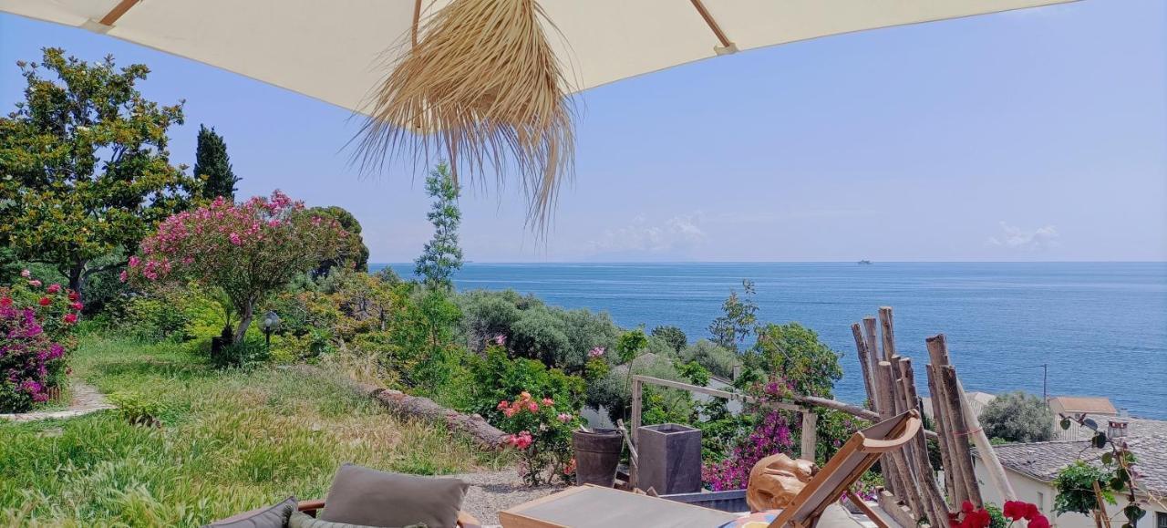 Villa Magnolia Santa-Maria-di-Lota Exteriér fotografie